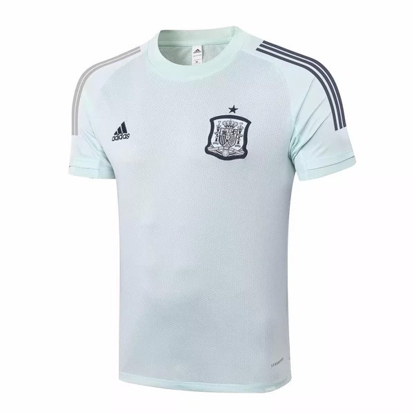 Trainingsshirt Spanien 2020 Grün